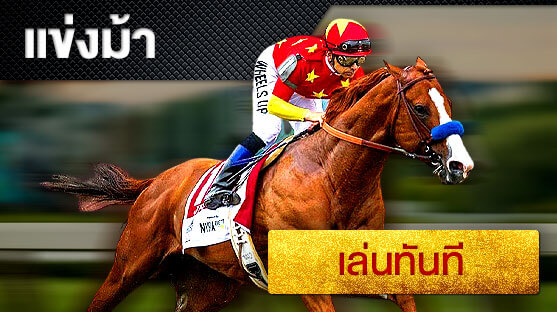เว็บพนันออนไลน์ ม้าแข่ง (horse racing) คาสิโนออนไลน์ พนันออนไลน์ เว็บการพนัน Nowbet Asia