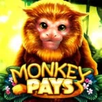 สล็อต Monkey Pays SW slot