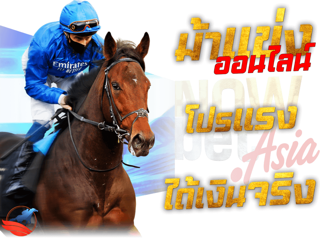 ม้าแข่งออนไลน์ แทงม้า โปรแรง ได้เงินจริง Horse Racing Betting Online Adayar (IRE) RCB988 Nowbet