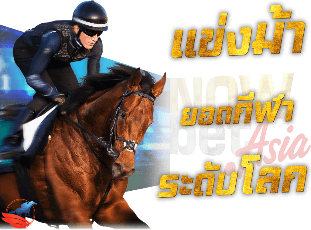 แข่งม้า ยอดกีฬา ระดับโลก Horse Race Betting Mishriff (IRE) แทงม้าออนไลน์ RCB 988 Now Bet