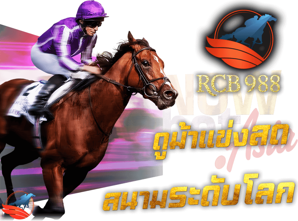 RCB988 ดูม้าแข่งสด ม้าแข่งต่างประเทศ ทุกรายการ ม้าแข่งล่าสุด สนามแข่งม้าระดับโลก Horse Racing Online St Mark's Basilica (FR) Nowbet Asia